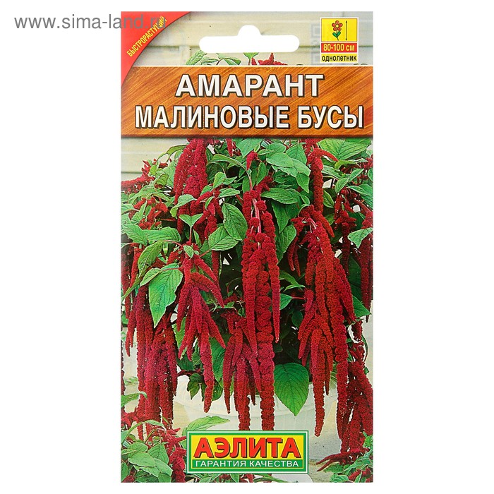 Семена цветов Амарант «Малиновые бусы», однолетник, 0.2 г, «Агрофирма АЭЛИТА»