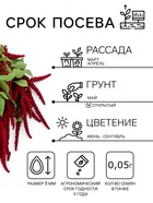 Семена цветов Амарант «Малиновые бусы», однолетник, 0.2 г, «Агрофирма АЭЛИТА» - Фото 4