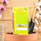 Семена цветов Амарант "Малиновые бусы", О, 0,2 г - Фото 2