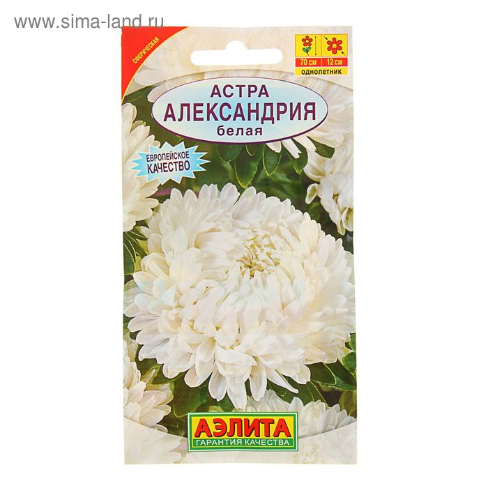Семена цветов Астра "Александрия" белая, О, 0,1 г - Фото 1