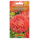 Семена цветов Астра "Александрия" красная, О, 0,1 г - Фото 1