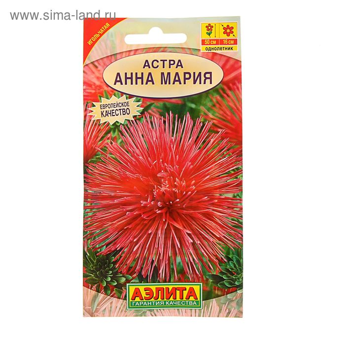Семена цветов Астра "Анна Мария", О, 0,2 г - Фото 1
