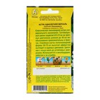 Семена цветов Астра "Версаль" пионовидная, О, 0,2 г - Фото 2