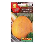Семена Дыня «Медовая лакомка», 1 г, «Аэлита» - Фото 4