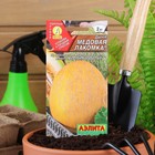 Семена Дыня «Медовая лакомка», 1 г, «Аэлита» - Фото 6