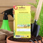 Семена Дыня «Медовая лакомка», 1 г, «Аэлита» - Фото 7