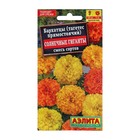 Семена цветов Бархатцы «Солнечные гиганты» смесь, О, 0.1 г - Фото 1