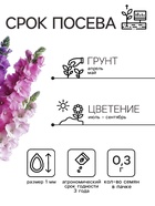 Семена цветов Дельфиниум «Гиацинт», 0.3 г, «АЭЛИТА» - Фото 2