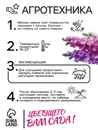 Семена цветов Дельфиниум «Гиацинт», 0.3 г, «АЭЛИТА» - Фото 4