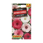 Семена цветов Лаватера "Богиня солнца", смесь окрасок, О, 0,3 г - Фото 1