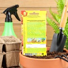 Семена Тыква крупноплодная "Медовый десерт", 1 г - Фото 2