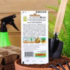 Семена Томат «Вельможа», детерминантный, низкорослый, 20 шт., «Аэлита»  (артикул 1731359)  большой выбор товаров оптом и в розницу по низким ценам с доставкой