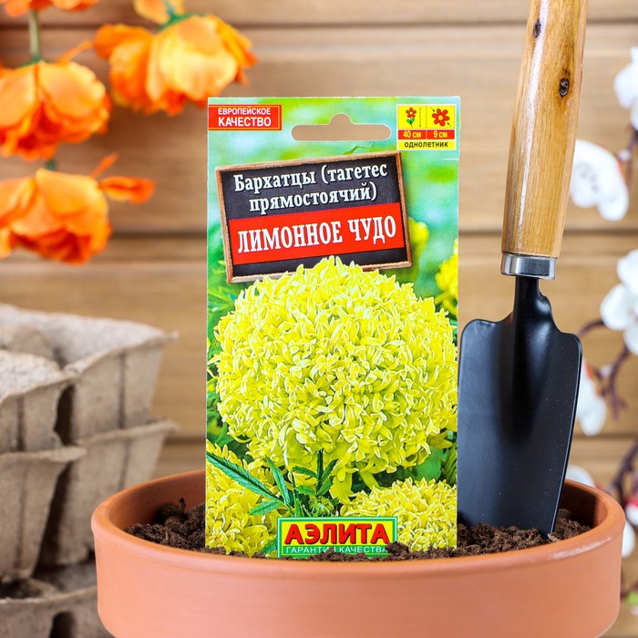 Семена цветов Бархатцы «Лимонное чудо» прямостоячие, О, 0.1 г - Фото 1