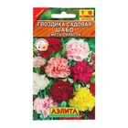 Семена цветов Гвоздика садовая "Шабо", смесь окрасок, О, 0,05 г - Фото 3