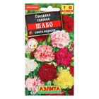 Семена цветов Гвоздика садовая "Шабо", смесь окрасок, О, 0,05 г - Фото 4