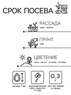 Семена цветов Гелихризум «Зимний букет», смесь окрасок, однолетник, 0.3 г, «Аэлита» - Фото 2