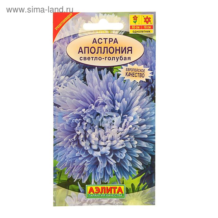 Семена цветов Астра "Аполлония" светло-голубая, О, 0,2 г - Фото 1
