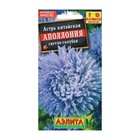 Семена цветов Астра "Аполлония" светло-голубая, О, 0,2 г - Фото 2