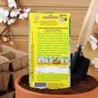 Семена цветов Астра "Букетная" белая, О, 0,2 г - Фото 6