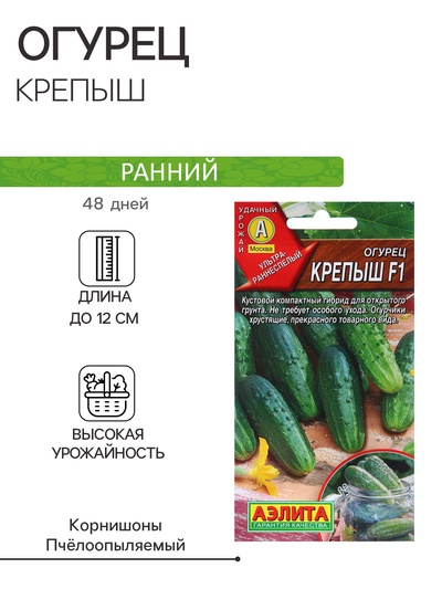 Семена Огурец «Крепыш», F1, раннеспелый, пчелоопыляемый, 10 шт., «АЭЛИТА»