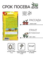 Семена Огурец «Крепыш», F1, раннеспелый, пчелоопыляемый, 10 шт., «АЭЛИТА» - Фото 2