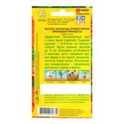 Семена цветов Бархатцы «Оранжевая принцесса» прямостоячие, О, 0.3 г - Фото 2