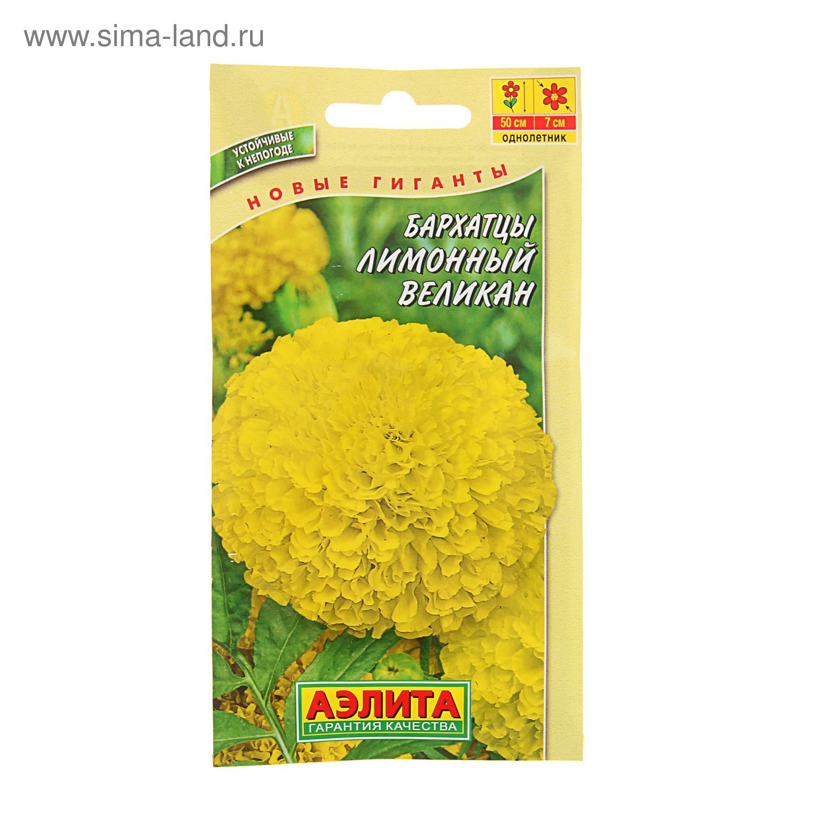 Бархатцы Лимонный великан - описание, характеристики, посадка и уход, отзывы Бархатцы Лимонный великан: описание, характеристики, посадка и уход, отзывы