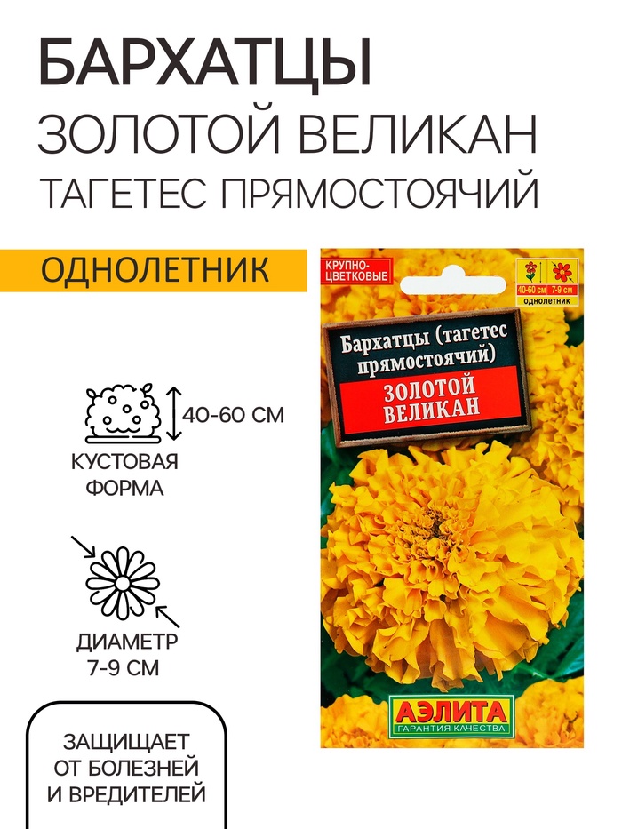 Семена цветов Бархатцы «Золотой великан», О, 0.1 г - Фото 1