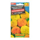 Семена цветов Бархатцы «Бархатный сезон» прямостоячие, смесь окрасок, О, 0.1 г - Фото 4