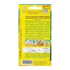 Семена цветов Бархатцы «Бархатный сезон» прямостоячие, смесь окрасок, О, 0.1 г - Фото 5