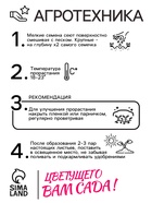 Семена  цветов Бархатцы "Апельсин" прямостоячие, О, 0,3 г 1731417 - фото 13452189