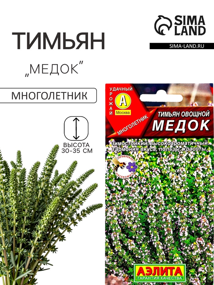 Семена Тимьян овощной «Медок», пряность, 0.2 г, «АЭЛИТА» - Фото 1