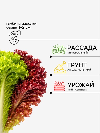 Семена Салат листовой «Весёлая грядка», смесь, 0.5 г, «Аэлита»