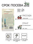 Семена Огурец "Лиза" F1, раннеспелый, партенокарпический, 10 шт - Фото 2