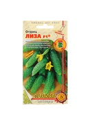 Семена Огурец "Лиза" F1, раннеспелый, партенокарпический, 10 шт - Фото 5