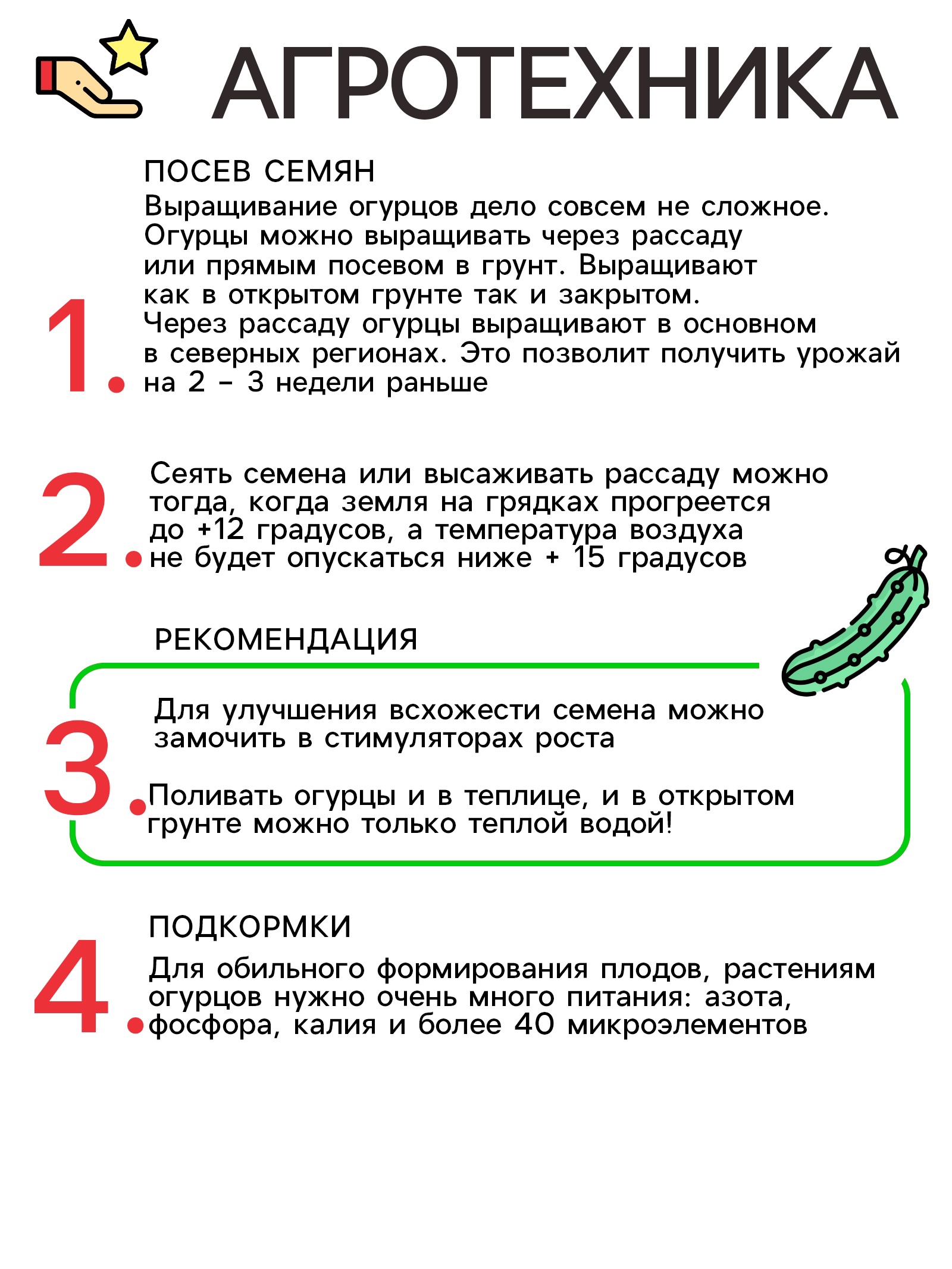 Огурец кузя f1 описание отзывы фото Огурец кузя f1 описание отзывы фото