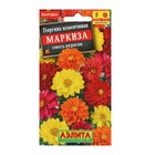 Семена  цветов Георгина махровая "Маркиза", смесь окрасок, О, 10 шт - фото 9337156