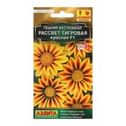 Семена цветов Гацания «Рассвет» F1 тигровая красная, для балкона, веранды, цветника, однолетник, низкорослая, 5 шт. - Фото 2