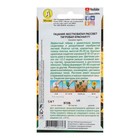 Семена цветов Гацания «Рассвет» F1 тигровая красная, для балкона, веранды, цветника, однолетник, низкорослая, 5 шт. - Фото 3