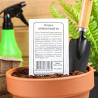 Семена Огурец "Апрельский" F1, партенокарпический, б/п, 0,25 г - Фото 1