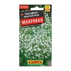 Семена цветов Гипсофила "Махровая", 0,05 г - фото 9427338