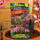 Семена Клещевина «Горячее сердце», однолетник, 2 г, «АЭЛИТА» - Фото 3