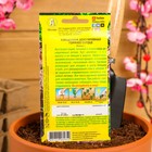 Семена Клещевина «Горячее сердце», однолетник, 2 г, «АЭЛИТА» - Фото 4