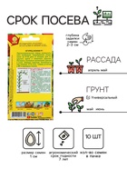 Семена Огурец «Конни», F1, среднеранний, партенокарпический, 10 шт., «АЭЛИТА» - Фото 2