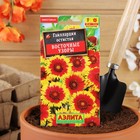 Семена цветов Гайлардия "Восточные узоры", 0,3 г - Фото 5