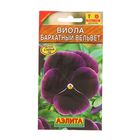 Семена цветов Виола "Бархатный Вельвет", Дв, 0,1 г - Фото 1