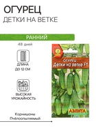 Семена Огурец «Детки на ветке», F1, 10 шт., «АЭЛИТА» - Фото 1