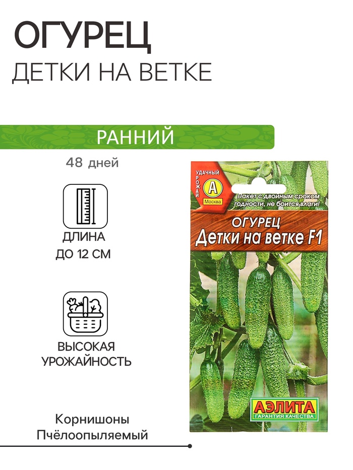 Семена Огурец «Детки на ветке», F1, 10 шт., «АЭЛИТА» - Фото 1