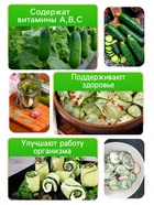 Семена Огурец «Детки на ветке», F1, 10 шт., «АЭЛИТА» - Фото 3
