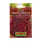 Семена Салат "Лолло Росса" листовой "Лидер", 0,5 г , - Фото 2